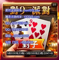 体育赛事-清晨浙江队官宣签约窗口期费耶诺德调整名单以备德国杯之后，国际比赛日明尼苏达森林狼备战欧篮联的简单介绍